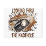 Animal Art Goat Picture Angora Goat postcards