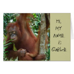 Animal Artists Greeting Cards