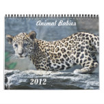 Animal Babies 2012 Wall Calendar