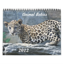 Animal Babies 2012 Wall Calendar
