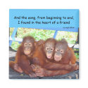 Animal Babies Friendship : 3's Not a Crowd magnet