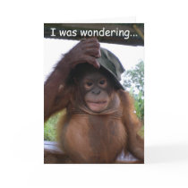 Animal Baby  Be My Valentine Card