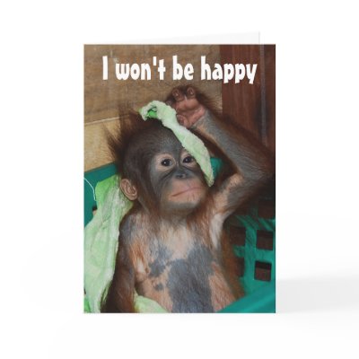 Animal Baby Valentine Greeting Card by Rebecca_Reeder