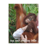 Animal Babysitter Hugs Postcards
