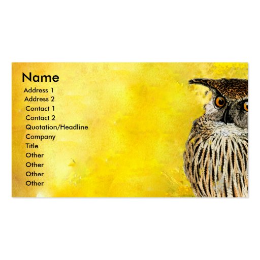 Animal Bird  Owl Business Cards (front side)
