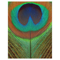 Animal - Bird - Peacock Feather Personalized Flyer