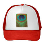 Animal - Bird - Peacock Feather Trucker Hats