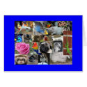 Animal Blank Card by collin999 Animal Blank Card