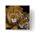 AnImAl buttons by River_Phoenix AnImAl buttons