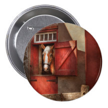 Animal - caballo - casa de Calvins Pin