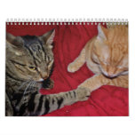 Animal Calendar
