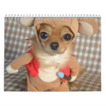 Animal Calendar