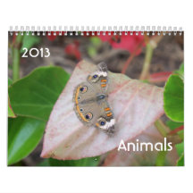Animal calendar