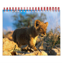 Animal Calendar by xox_h3l3n_xox Animal Calendar