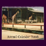 Animal Calendar 2008