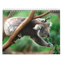 Animal Calender 6 calendars
