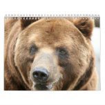 Animal Calenders 14 Calendars