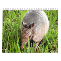 Animal Calenders 15 calendars by tommyinin Animal Calenders 15 calendars