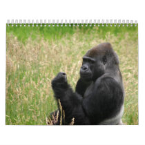 Animal Calenders 16 Wall Calendar