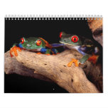 Animal Calenders 18 Wall Calendar
