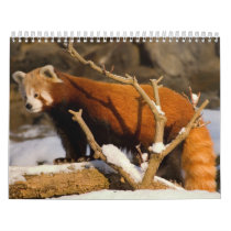 Animal Calenders 19 Calendars
