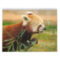 Animal Calenders 20 calendars by tommyinin Animal Calenders 20 calendars
