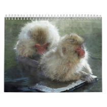 Animal Calenders 21 Calendars