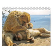 Animal Calenders 22 Calendars