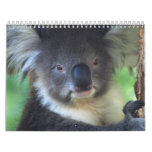 Animal Calenders 25 Calendar