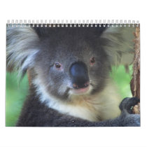 Animal Calenders 25 Calendar