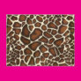 Animal Camo Post Card