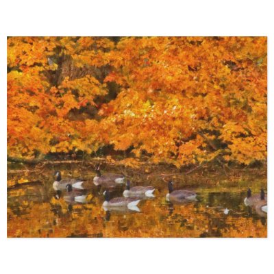 Animal - Canadian Geese Flyer by suburbanscenes