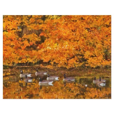 Animal - Canadian Geese Letterhead by suburbanscenes