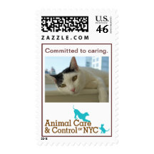 Animal Care & Control Logo Stamp - Cat