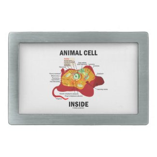 Animal Cell Inside (Biology Eukaryotic Cell) Belt Buckle