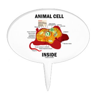 Animal Cell Inside (Biology Eukaryotic Cell) Cake Picks