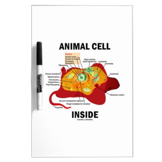 Animal Cell Inside (Biology Eukaryotic Cell) Dry-Erase Whiteboards
