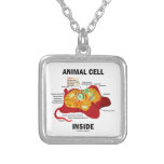 Animal Cell Inside (Biology Eukaryotic Cell) Pendant