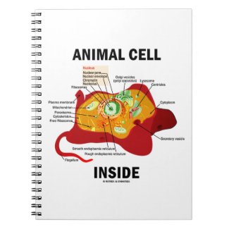 Animal Cell Inside (Biology Eukaryotic Cell) Journals
