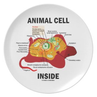 Animal Cell Inside (Biology Eukaryotic Cell) Plate