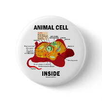 Animal Cell Inside (Eukaryote Cell Biology) Pinback Button