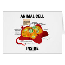 Animal Cell Inside (Eukaryote Cell Biology) cards by wordsunwords Animal Cell Inside (Eukaryote Cell Biology) cards
