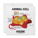 Animal Cell Inside (Eukaryote Cell Biology) invitations