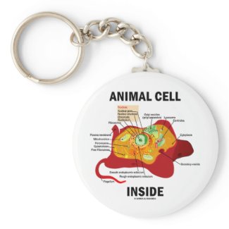 Animal Cell Inside (Eukaryote Cell Biology) Key Chain