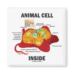 Animal Cell Inside (Eukaryote Cell Biology) Fridge Magnets