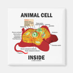 Animal Cell Inside (Eukaryote Cell Biology) Fridge Magnets