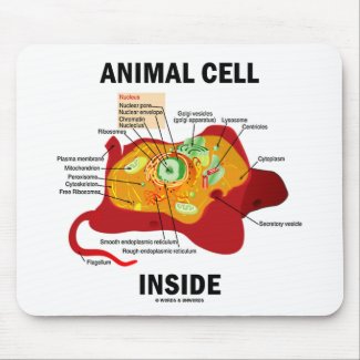 Animal Cell Inside (Eukaryote Cell Biology) Mousepads
