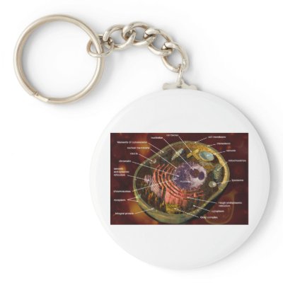 Animal cell key chain by Skeletonia