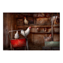 Animal - Chicken - The duck is a spy posters