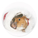Animal Christmas sticker by deemac1 Animal Christmas sticker